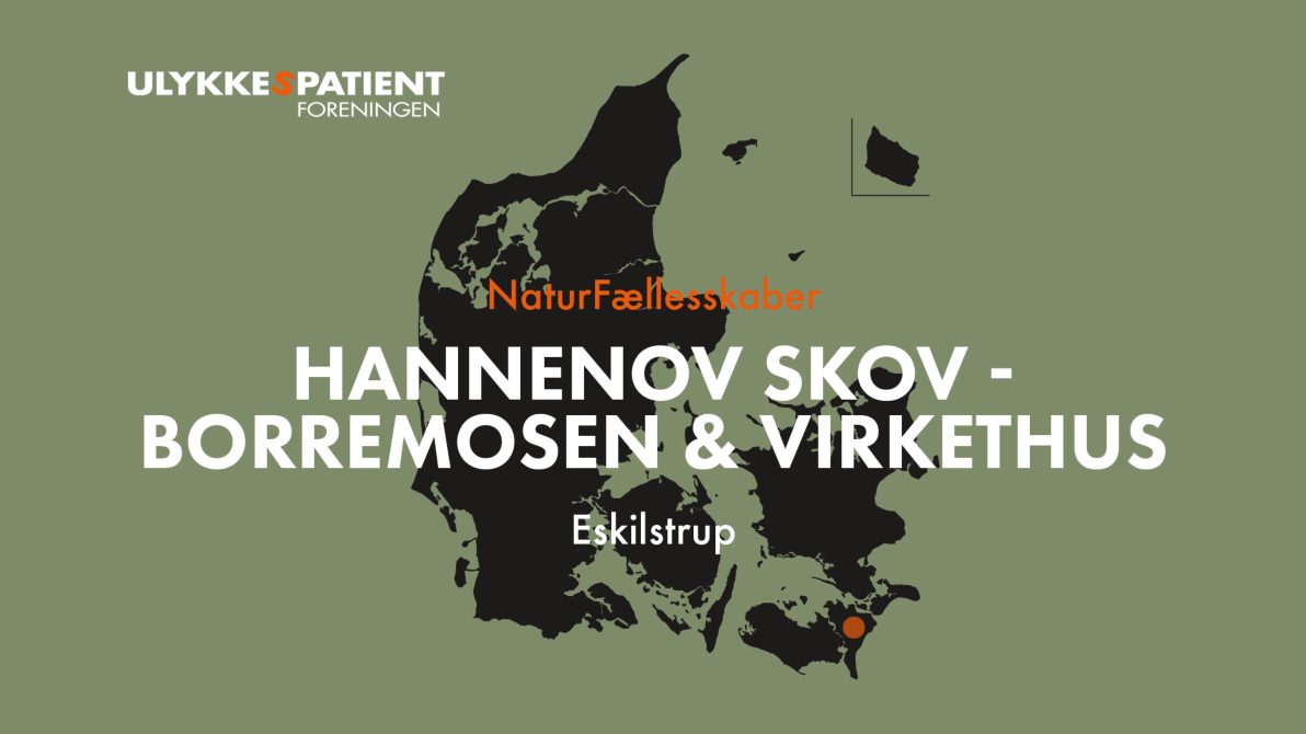 Hannenov Skov stillbillede