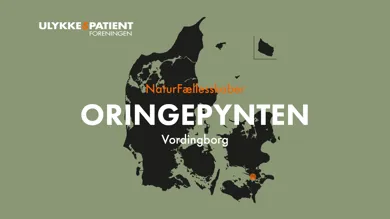 Danmarkskort med fokus på naturstedet Oringepynten