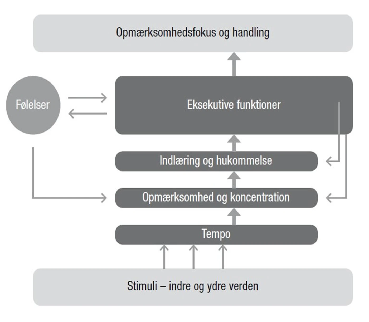 Grafik om kognitionsmodellen.